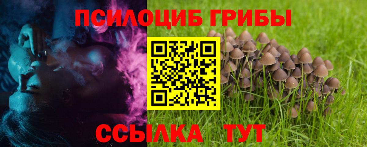 Псилоцибиновые грибы мухоморы Кимры