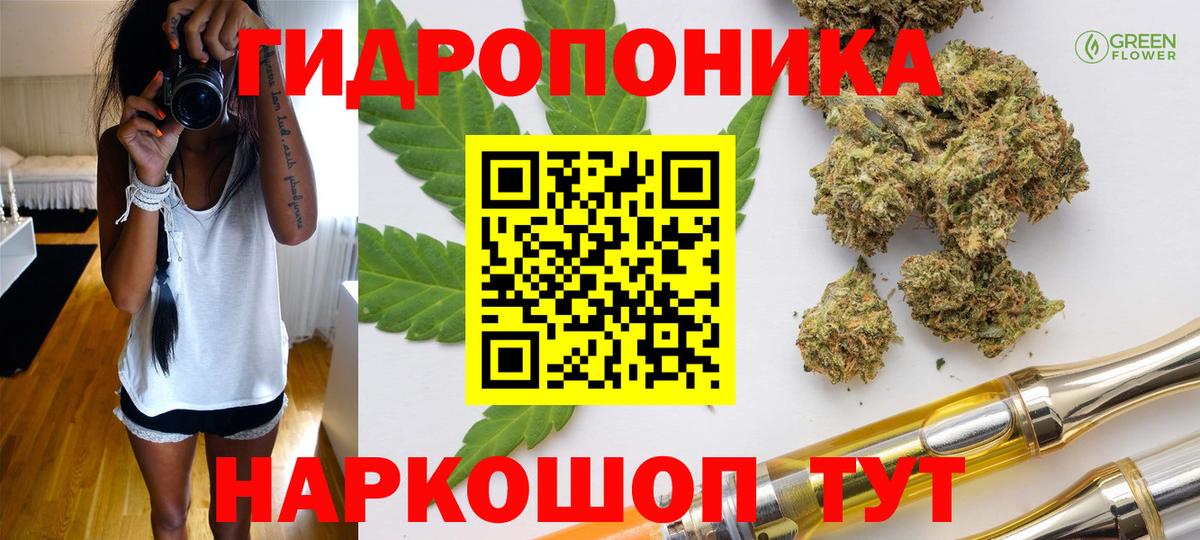 Кимры  Конопля планчик  Вход с VPN  Шишки марихуана LSD WEED  Бошки Шишки индика  Бошки Шишки Ganja 